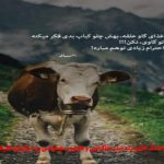 دانلود آهنگ بس که تو ای دل به این در به اون در زدی از مهستی
